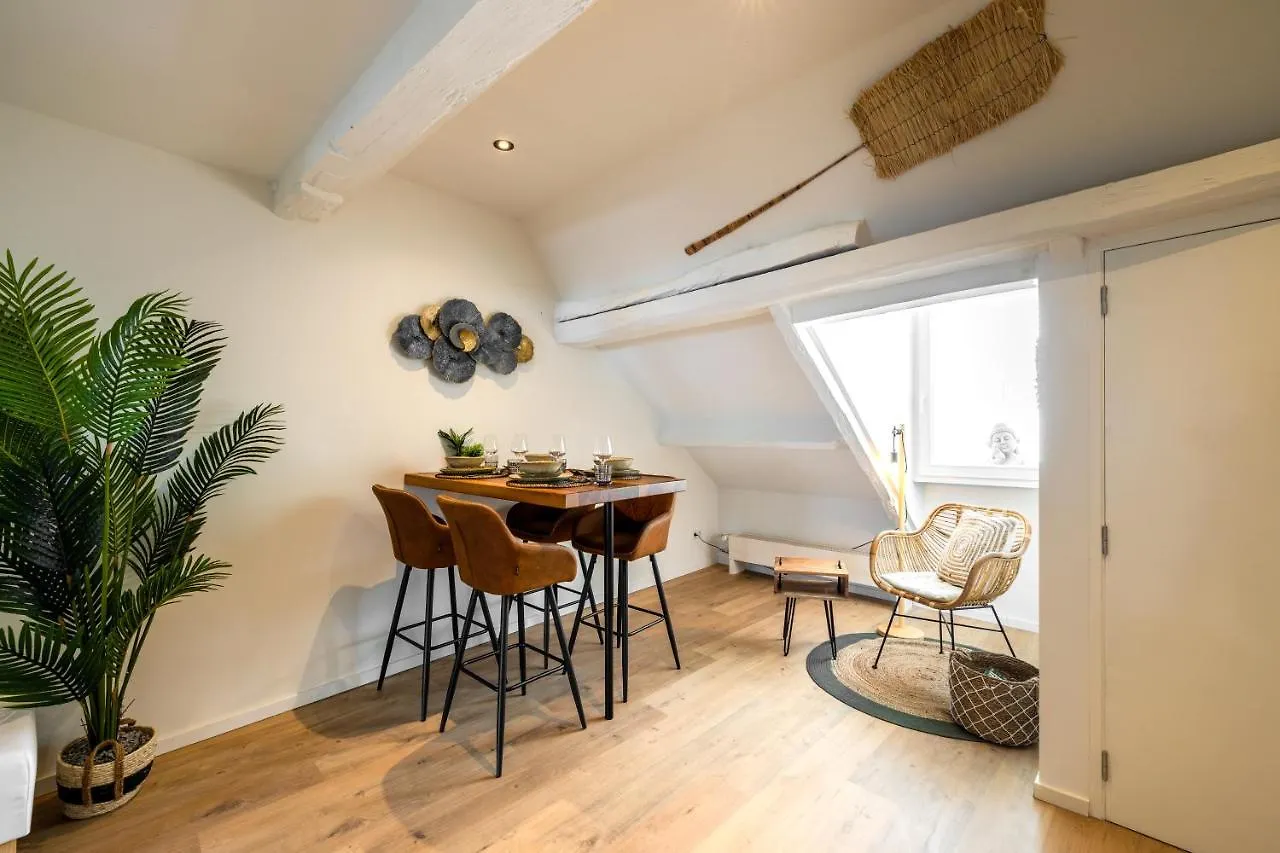 Madrid Suites Маастрихт 0*,